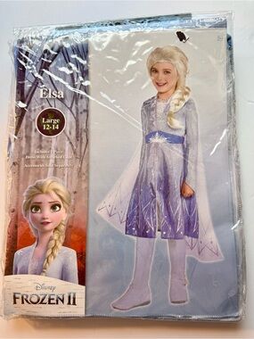 Disney Elsa Purple and Silver Girls Costume Dress